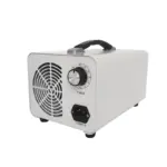 30g:h To 48g:h Ceramic Plate Ozone Air Cleaner-4