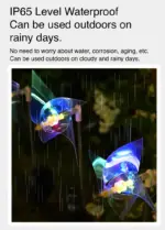 led colored lights