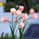 ​solar powered tulip style light
