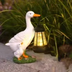 solar powered rabbit